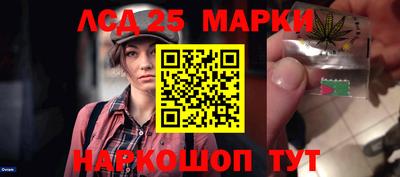шишки Будённовск