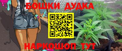 шишки Будённовск